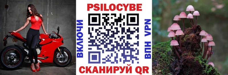 Купить где  Мураши  Галлюциногенные грибы мицелий 